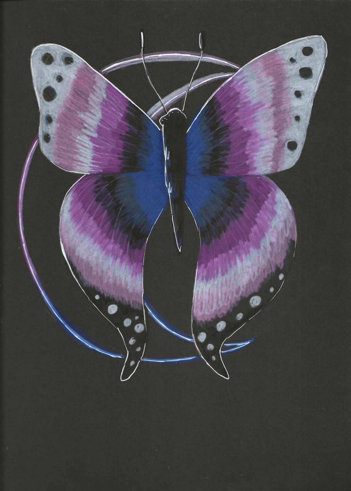 Genderfluid Butterfly Print