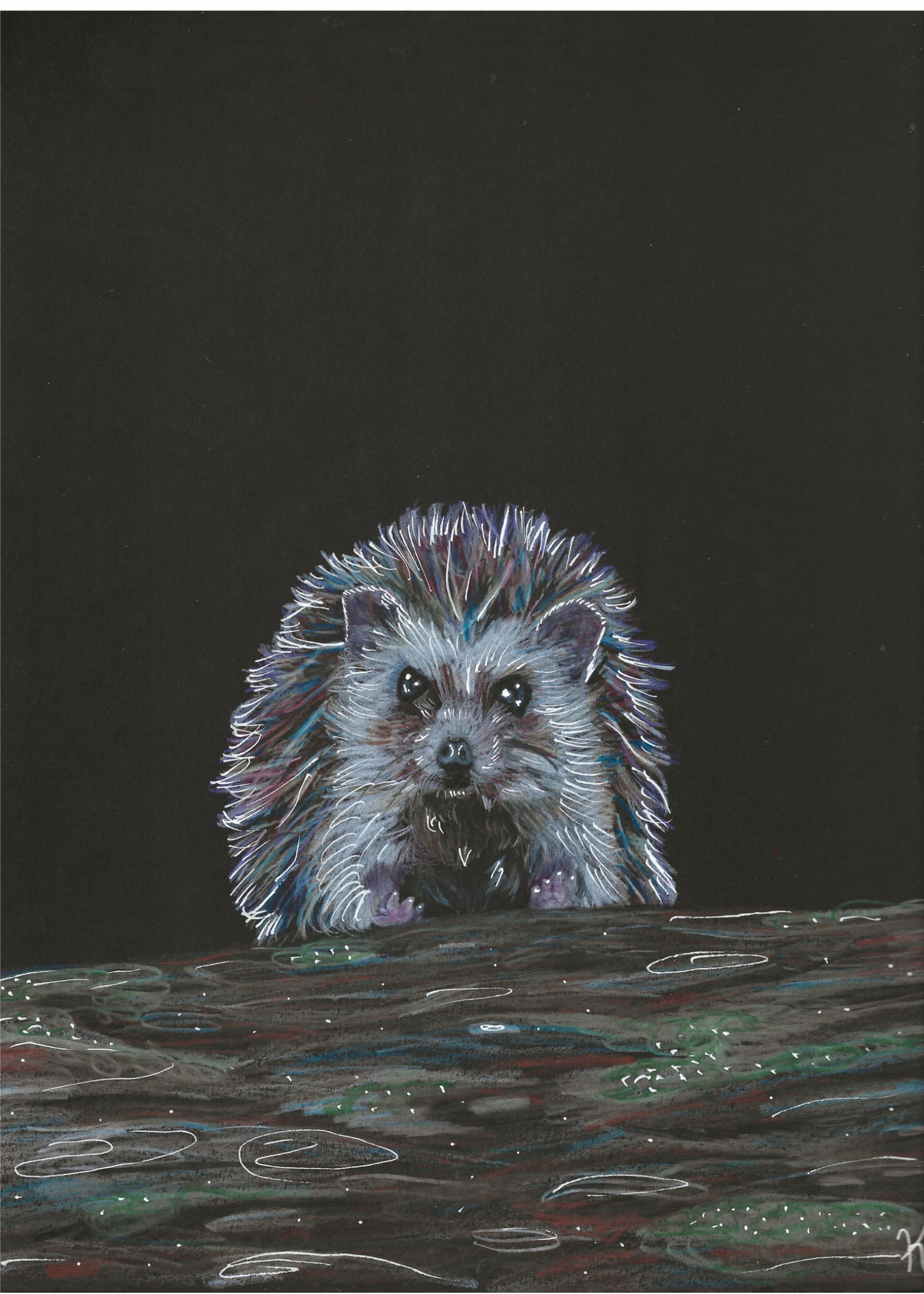 Hedgehog Print