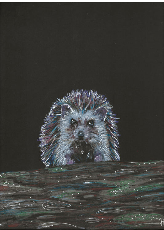 Hedgehog Original