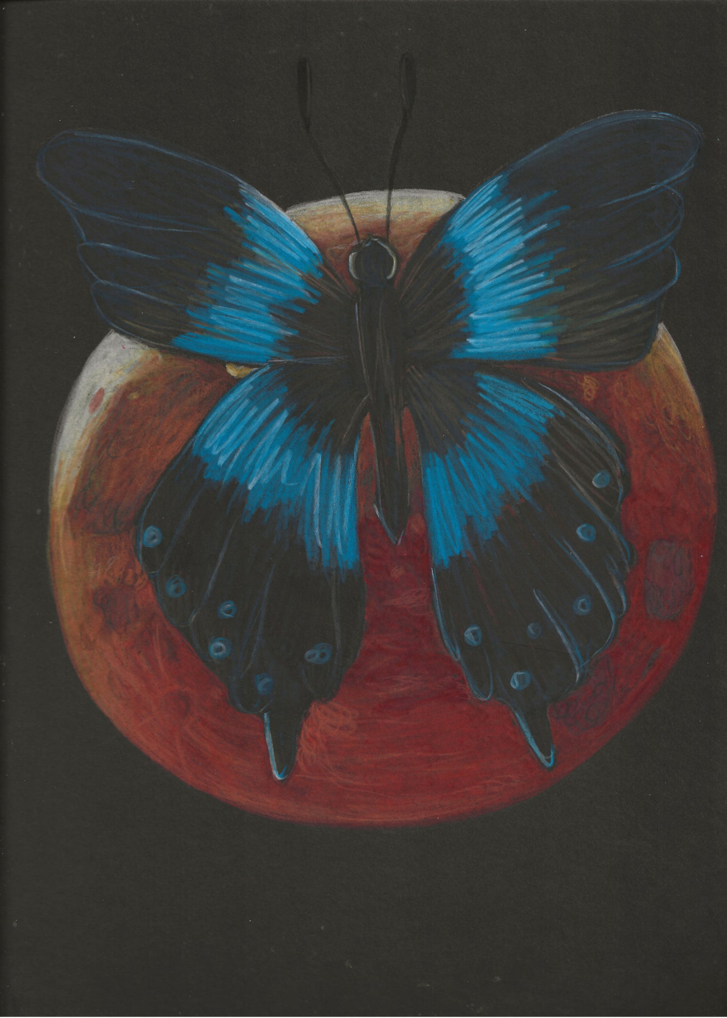 Lunar Eclipse Butterfly Print