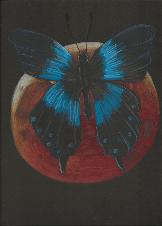 Lunar Eclipse Butterfly