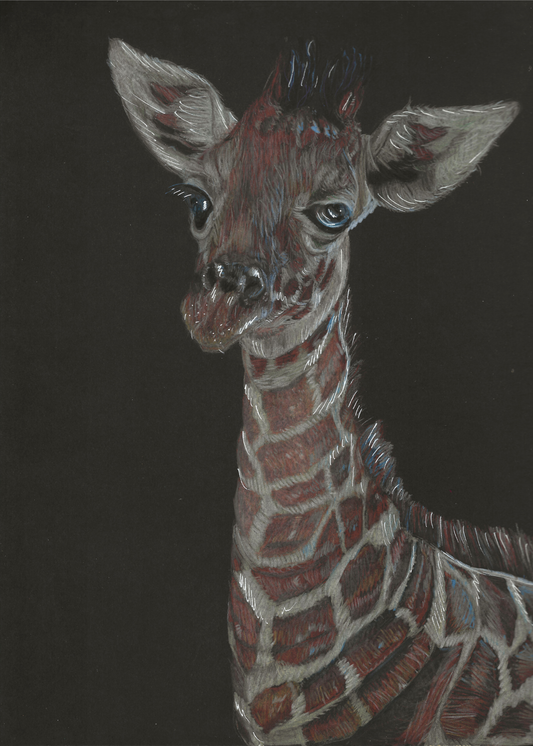 Giraffe Original