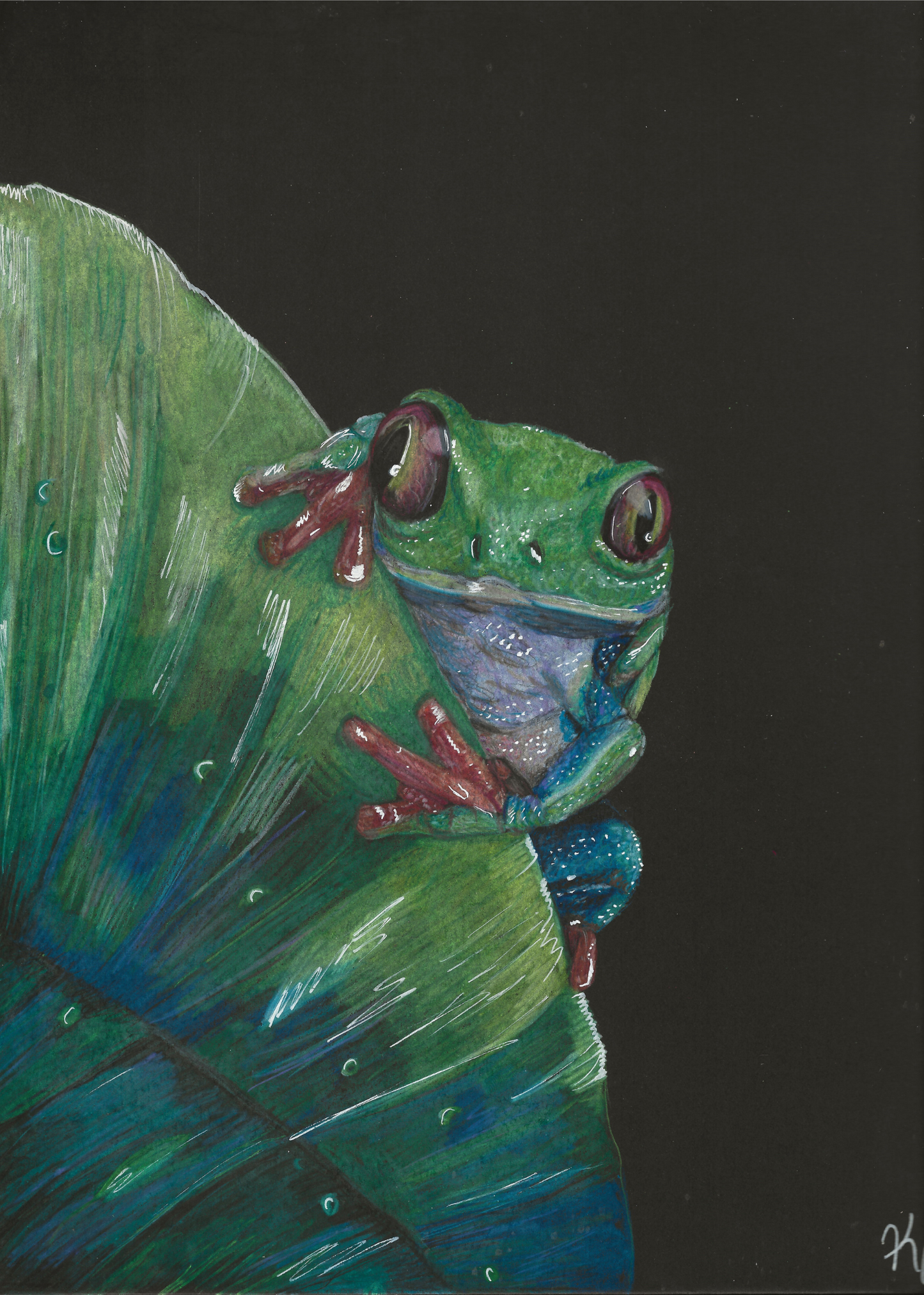 Red-Eyed Tree Frog Print