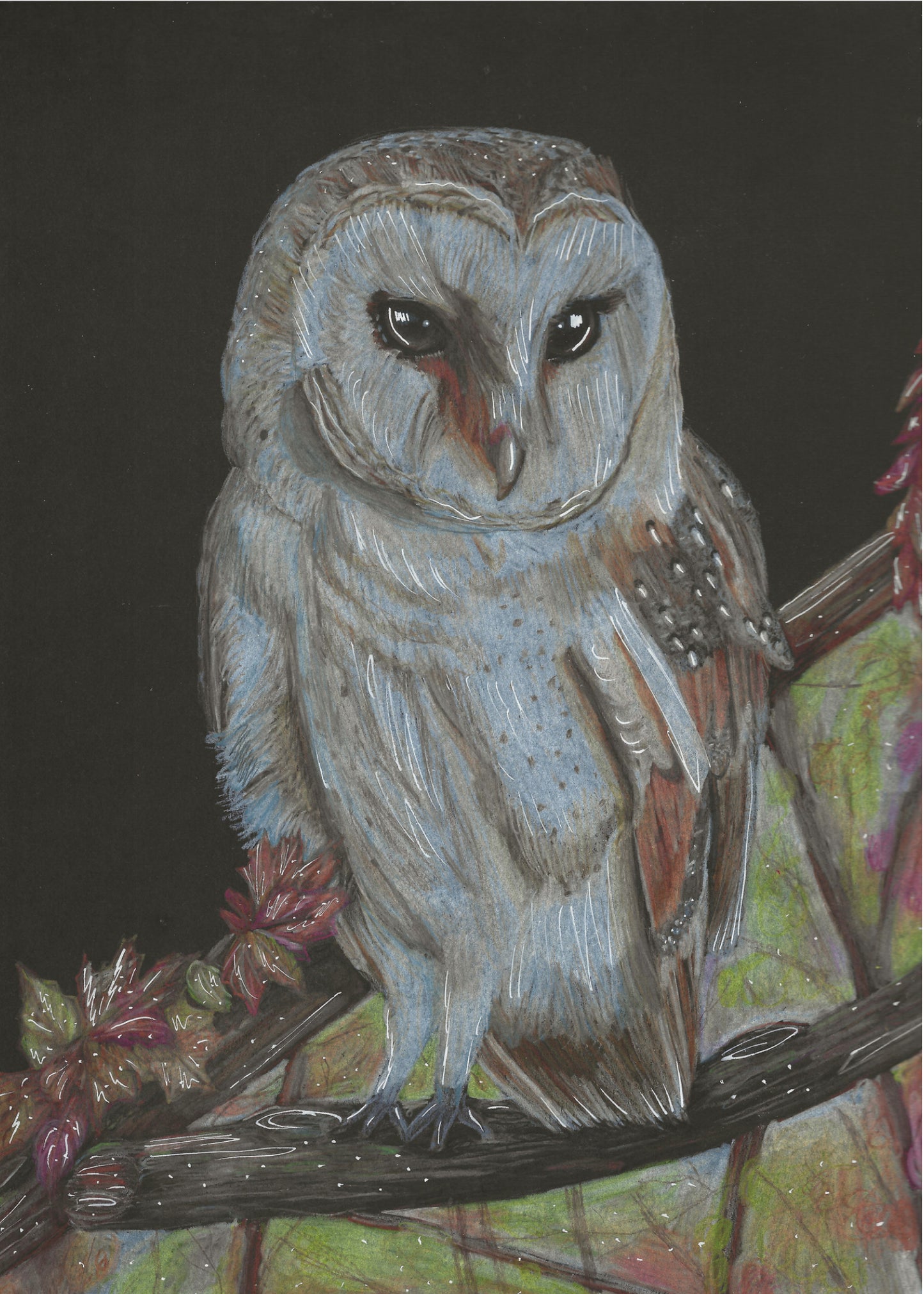 Barn Owl Print