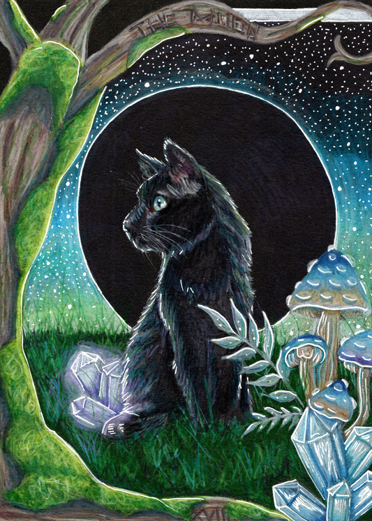 The Moon Print