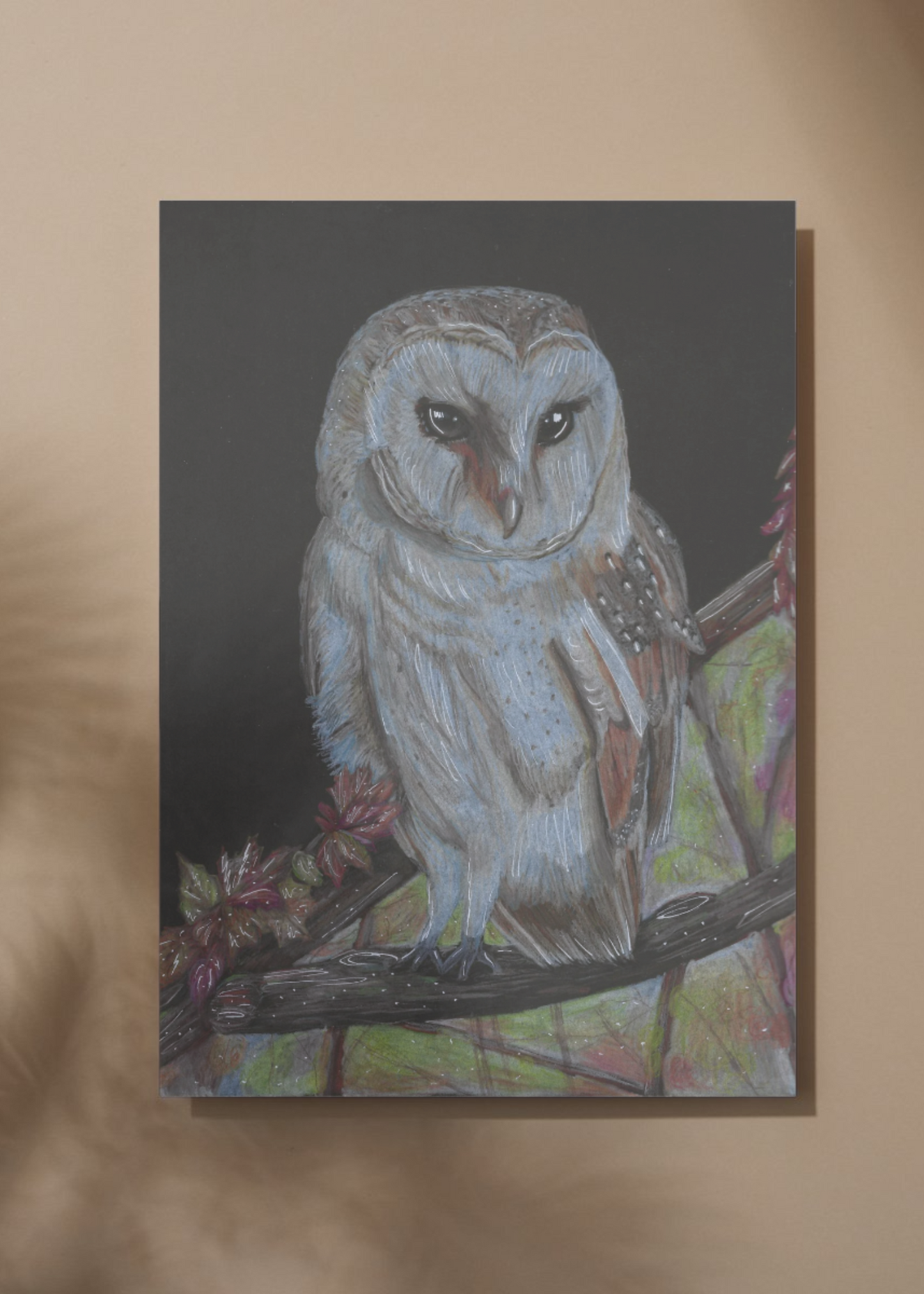 Barn Owl Original