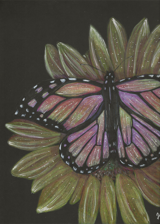 Butterfly on a Sunflower Print