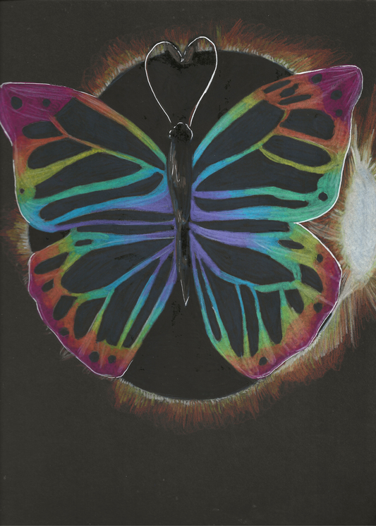 Rainbow Solar Eclipse Butterfly