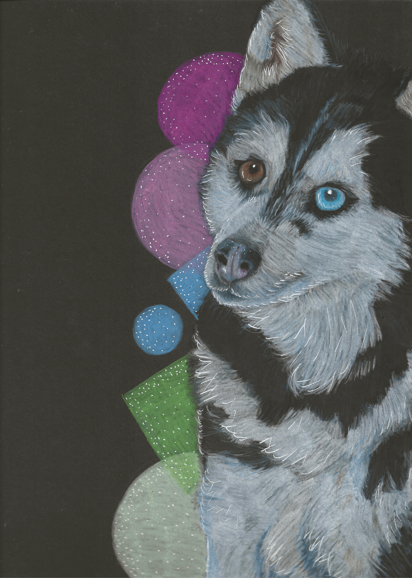 Heterochromia Husky Print