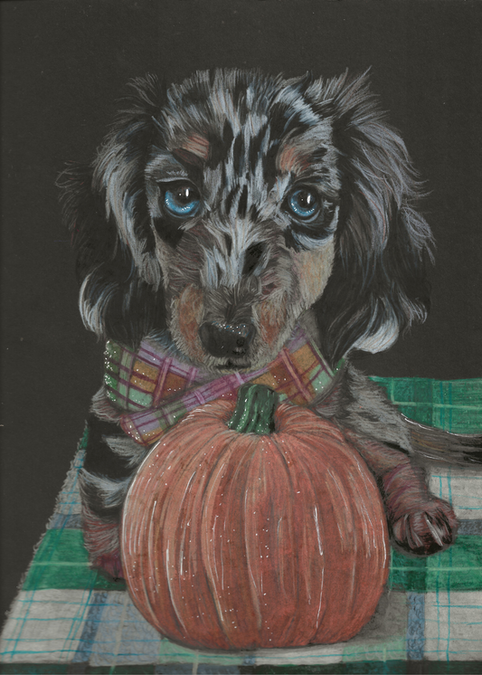 Autumn Dachshund