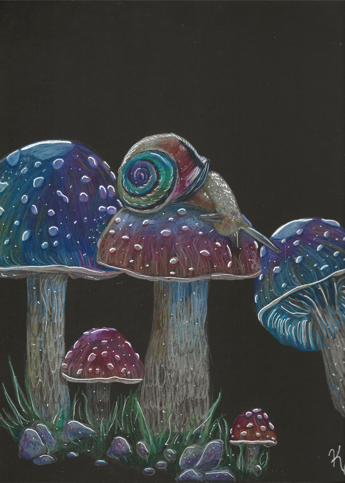 Rainbow Mushroom Snail Print