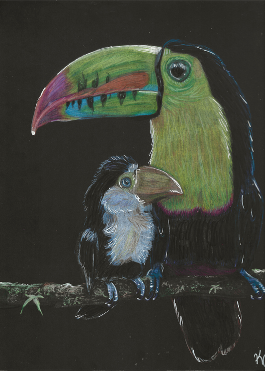 Mama and Baby Toucan Print