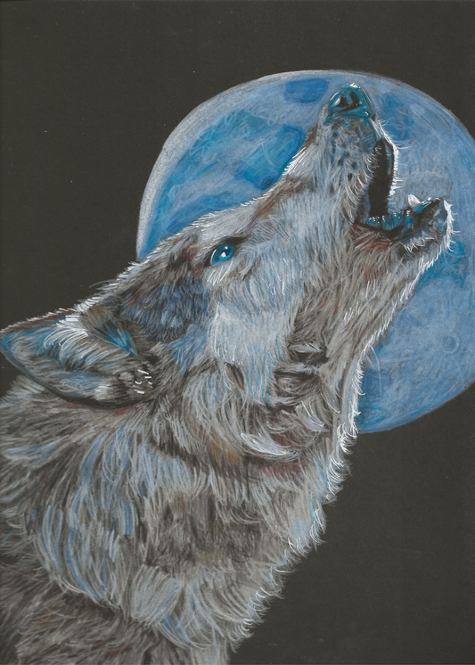 Wolf Howling Print