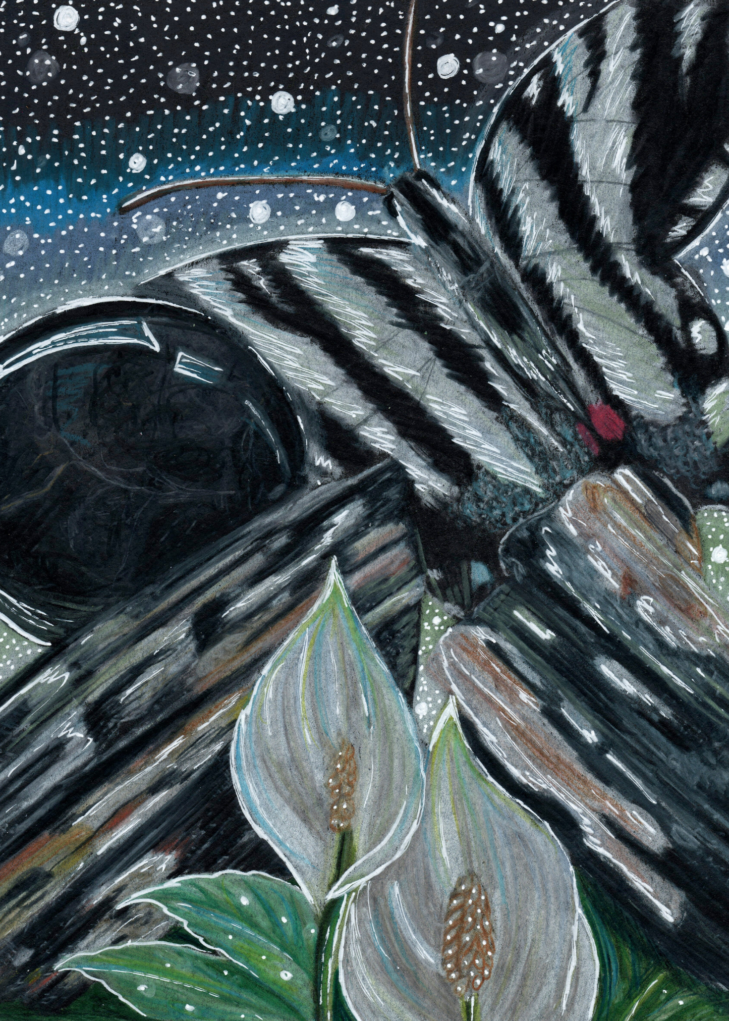 Black Tourmaline Print