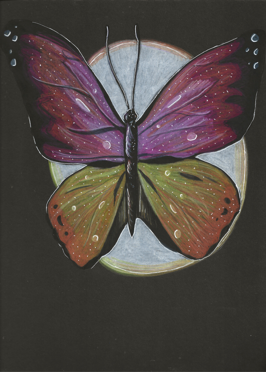 Pink-Yellow Butterfly Print