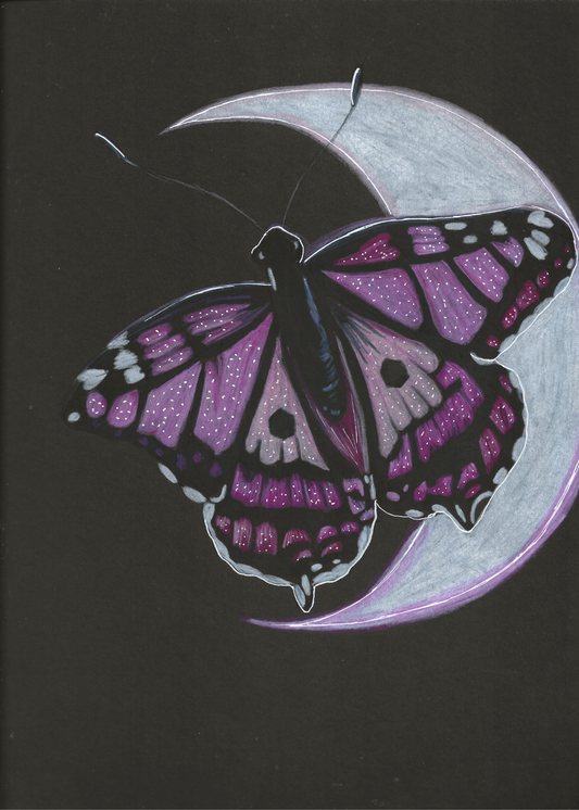 Pink Butterfly