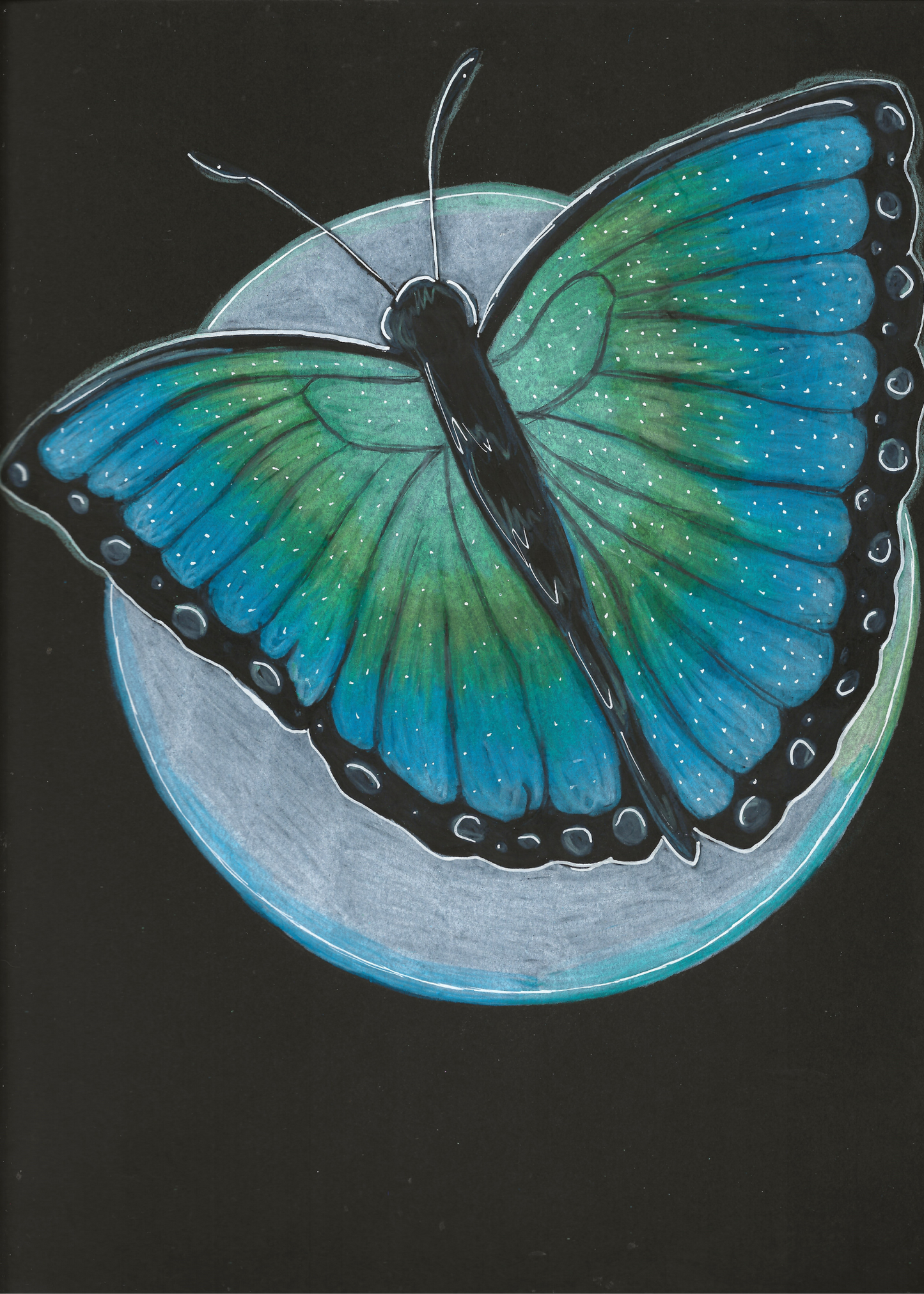 Blue-Green Butterfly Print